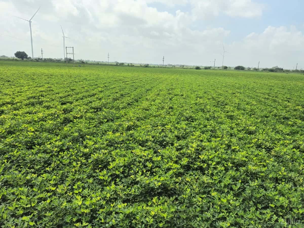 જમીન લેવાની છે જમીન લેવાની છે