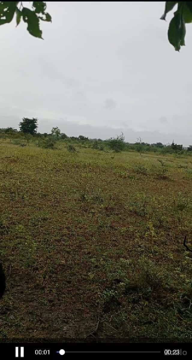 jamen 7.5 vigh barat6 jamen 7.5 vigh barat6