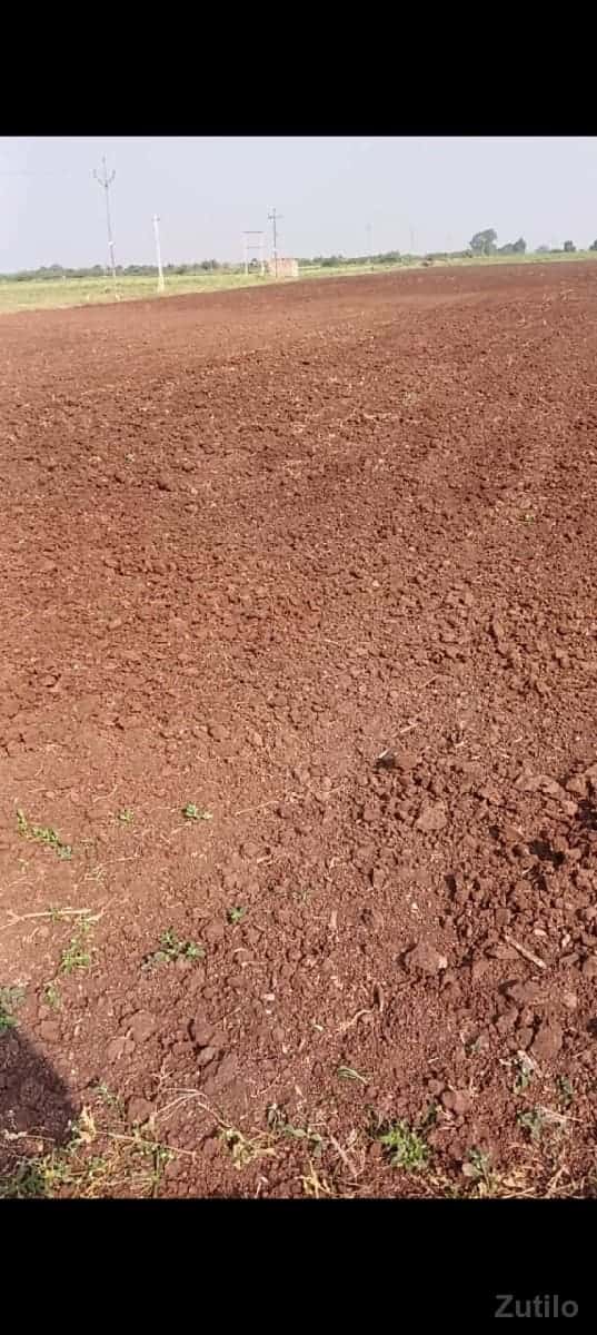 જમીન વેચવાની છે જુનીચરતની જમીન વેચવાની છે જુનીચરતની