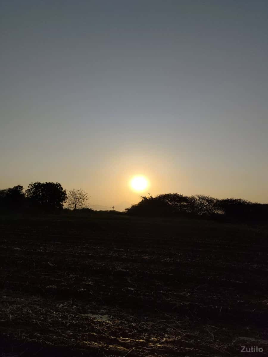 જમીન ( વાડી ) વેચવાની છે. જમીન ( વાડી ) વેચવાની છે.