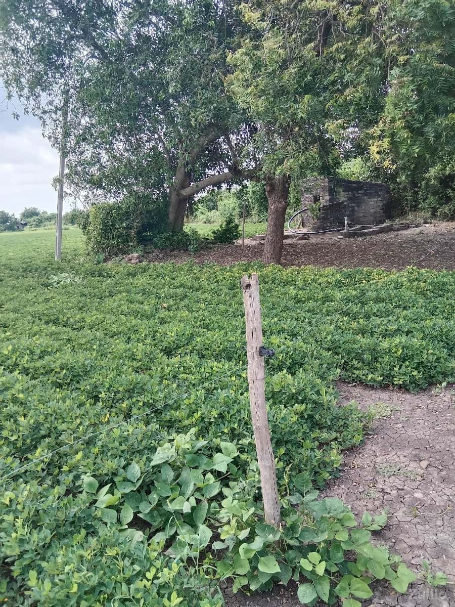 જમીન વેચવાની છે જમીન વેચવાની છે