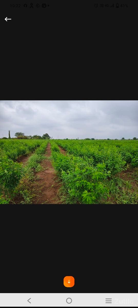 ફોટડી ગામ નો સવૅ નંબર 111 - Land & Plots - Bhanvad - Image 1