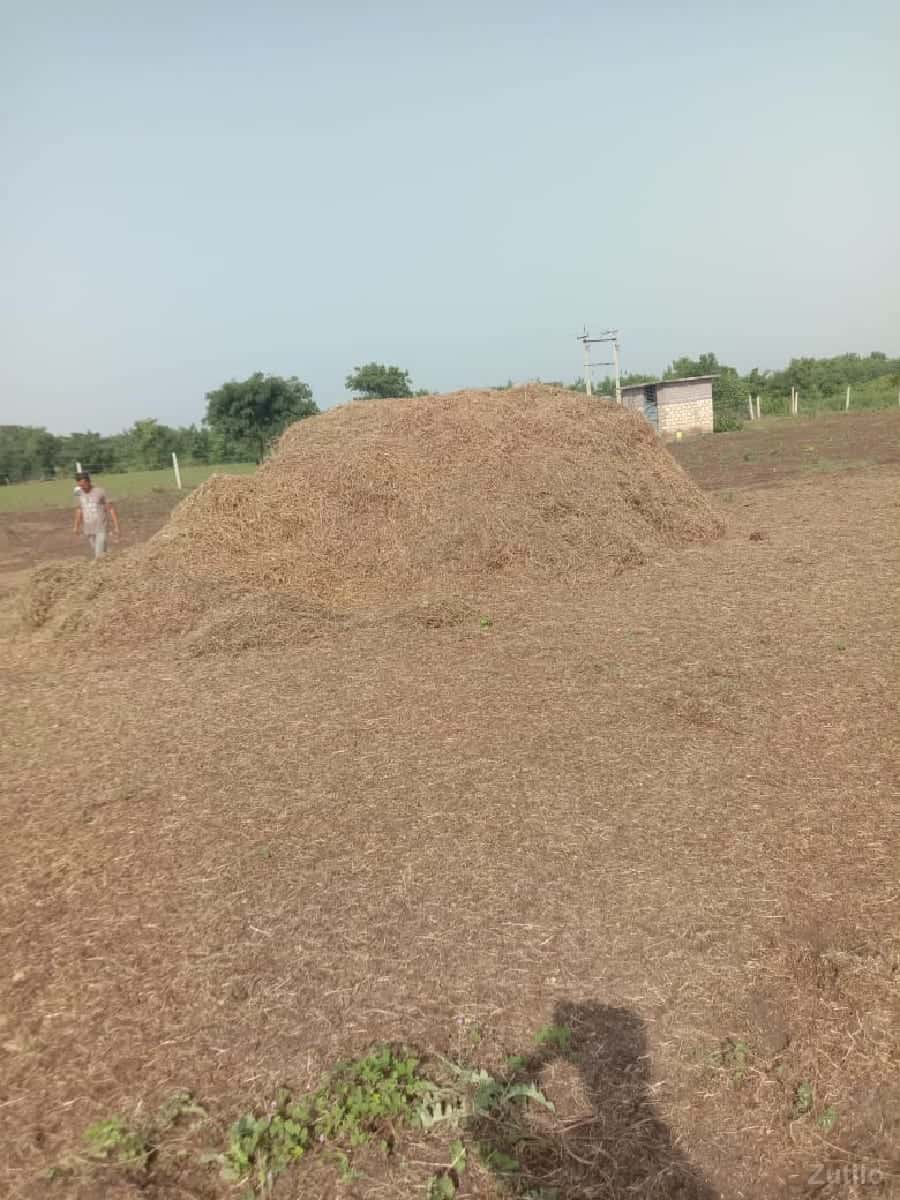 વેચવા ની છે વેચવા ની છે