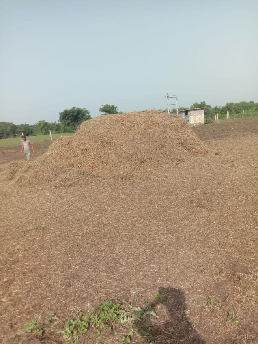 વેચવા ની છે