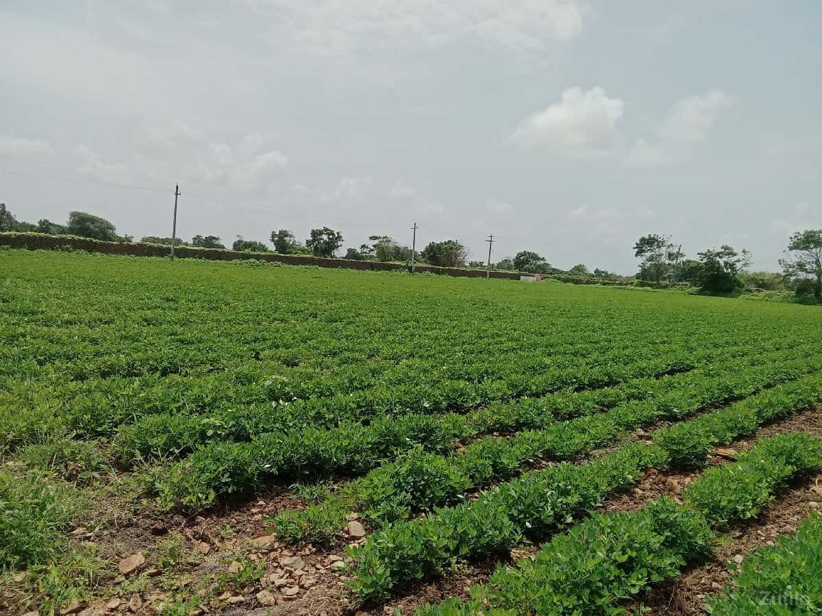 જમીન વેચવાની જમીન વેચવાની