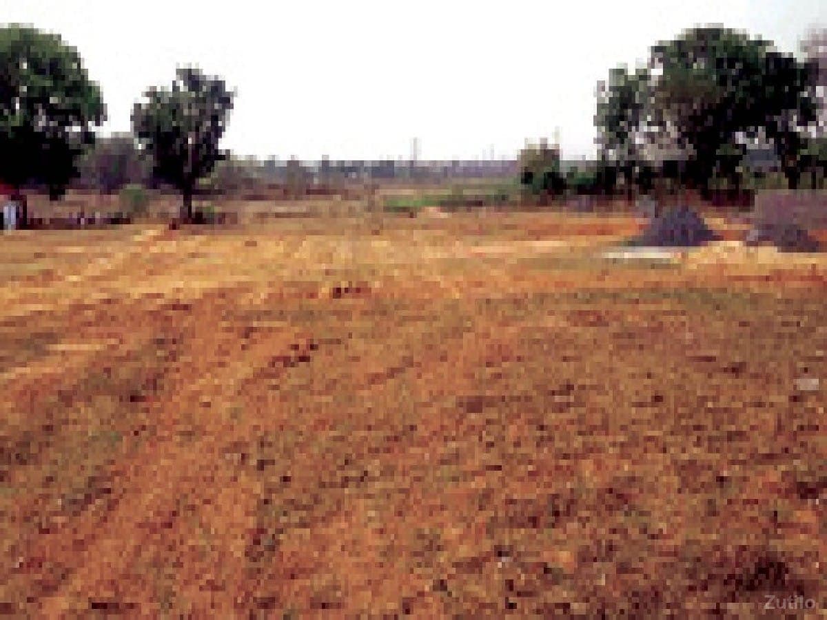 બિન ખેતી થઈ શકે તેવી જમીન - Land & Plots - Gondal - Image 1