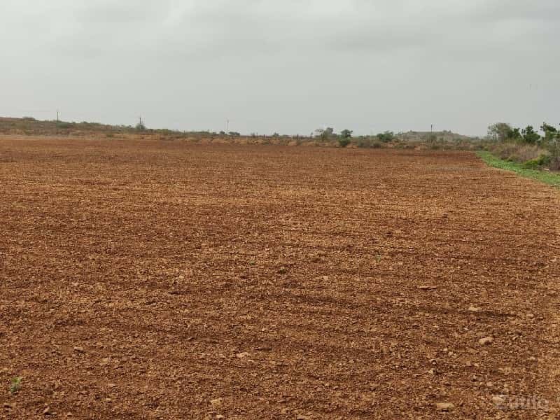 જમીન વેચવાની છે જમીન વેચવાની છે