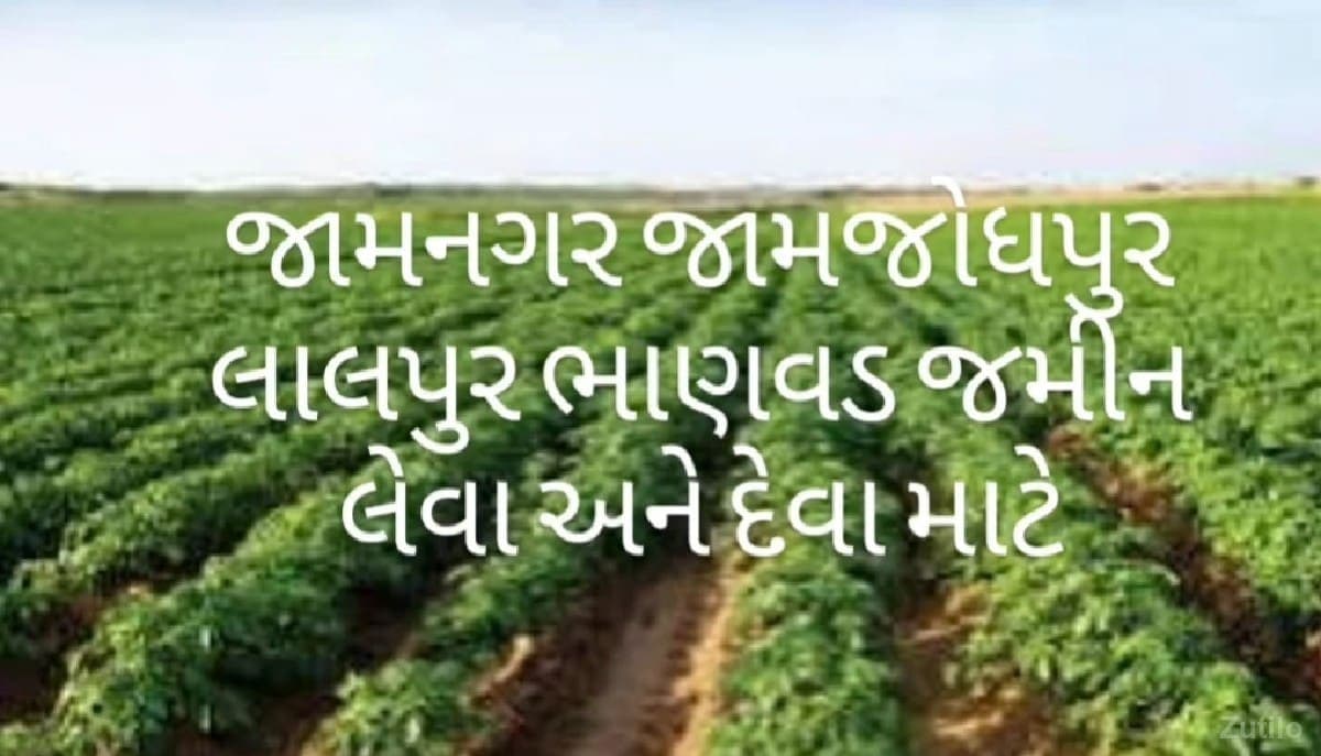 જમીન વેચવાની છે - Land & Plots - Jamjodhpur - Image 1