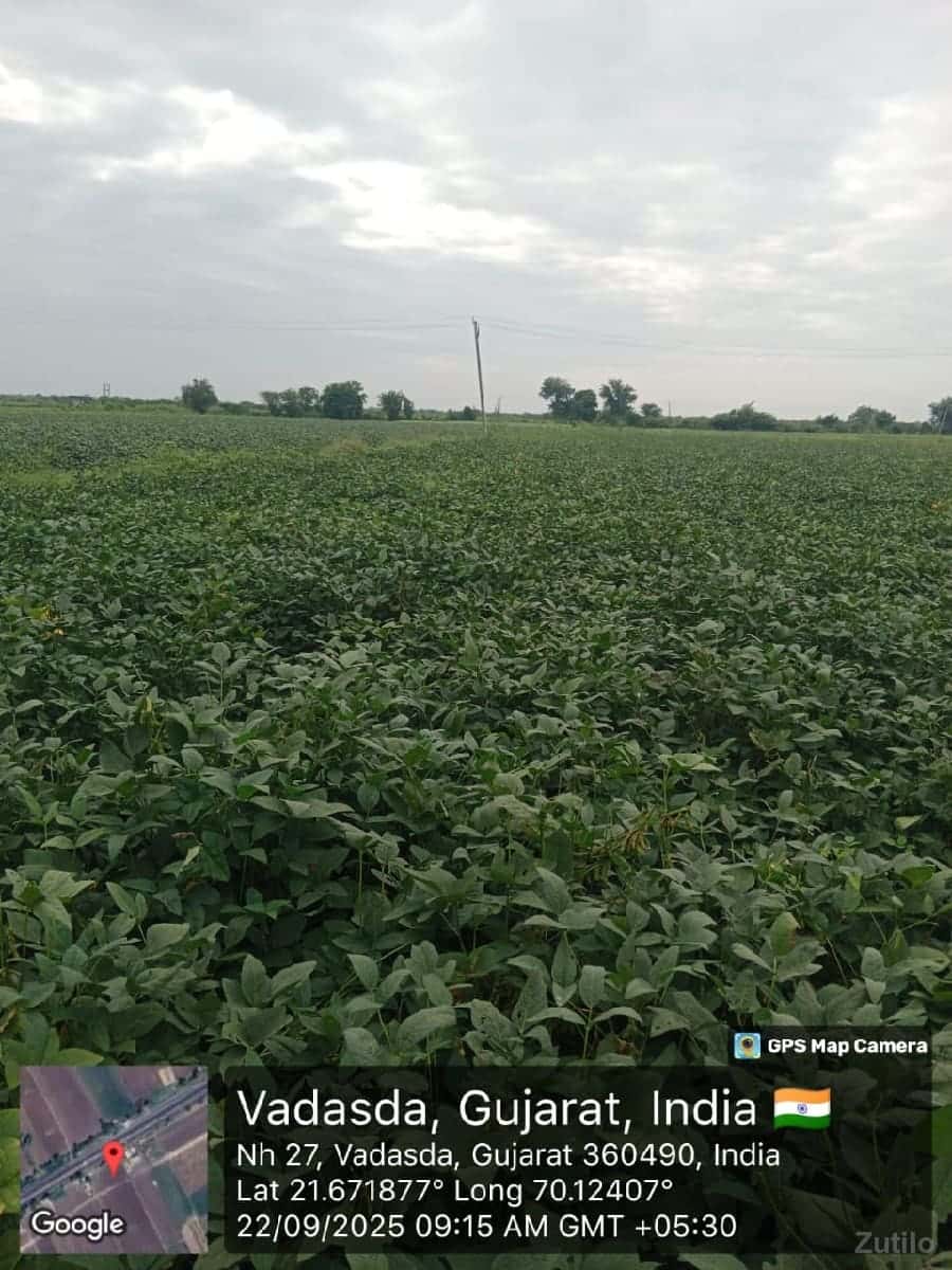 *જમીન લે વેચ માટે સંપર્ક કરો* *જમીન લે વેચ માટે સંપર્ક કરો*