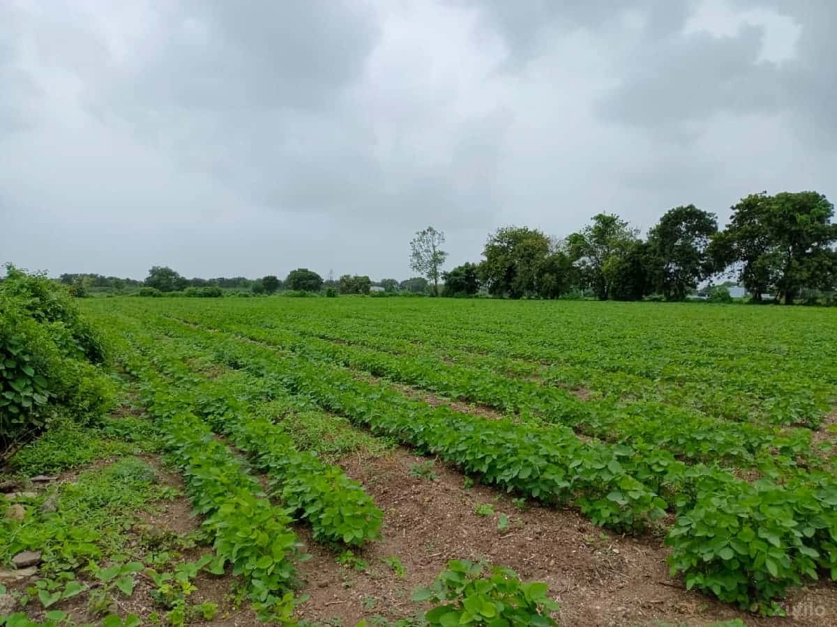 જમીન વેચવાની છે જમીન વેચવાની છે