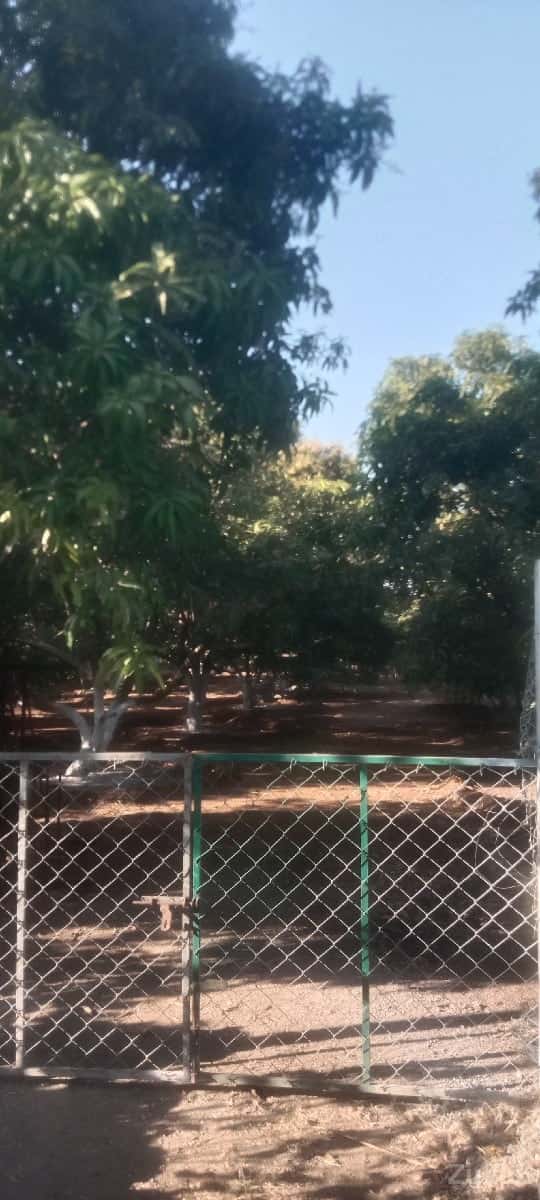 5 વિઘા જમીન વેચવાની છે 5 વિઘા જમીન વેચવાની છે