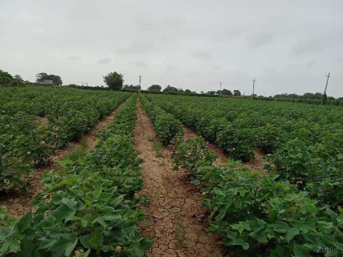 જમીન વેચવાની છે જમીન વેચવાની છે