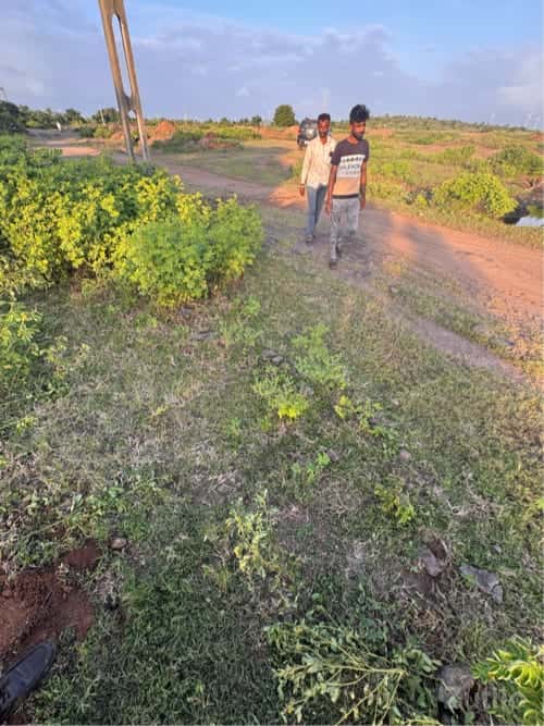 Bagdhra gam Bagdhra gam