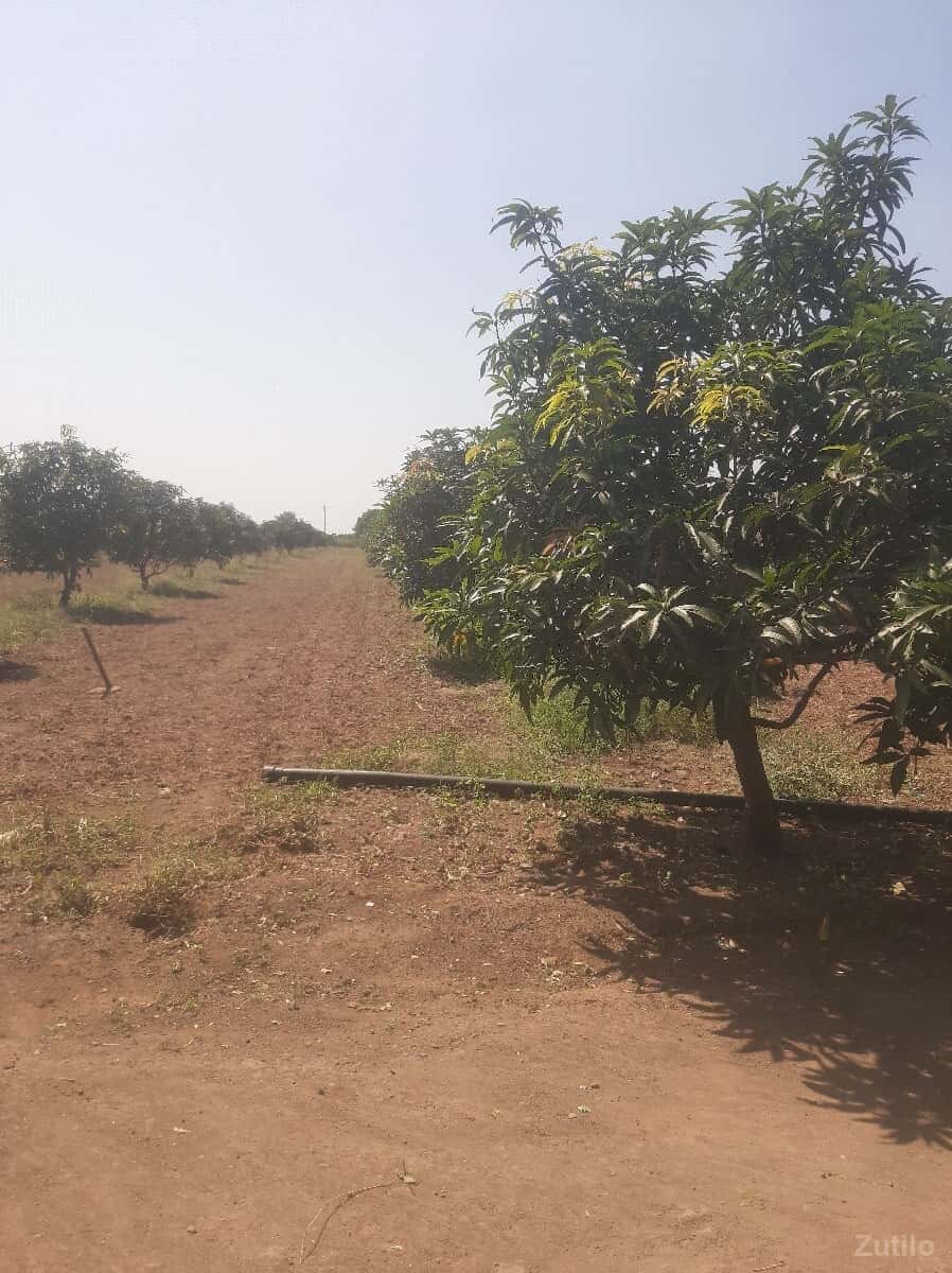 જમીન લે વેસ માટે મલો જમીન લે વેસ માટે મલો