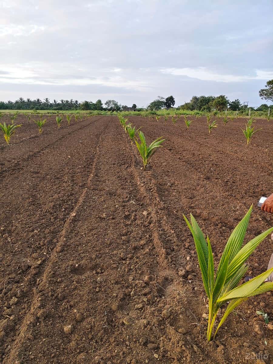 જમીન વેચવાની છે 5.5 જમીન વેચવાની છે 5.5