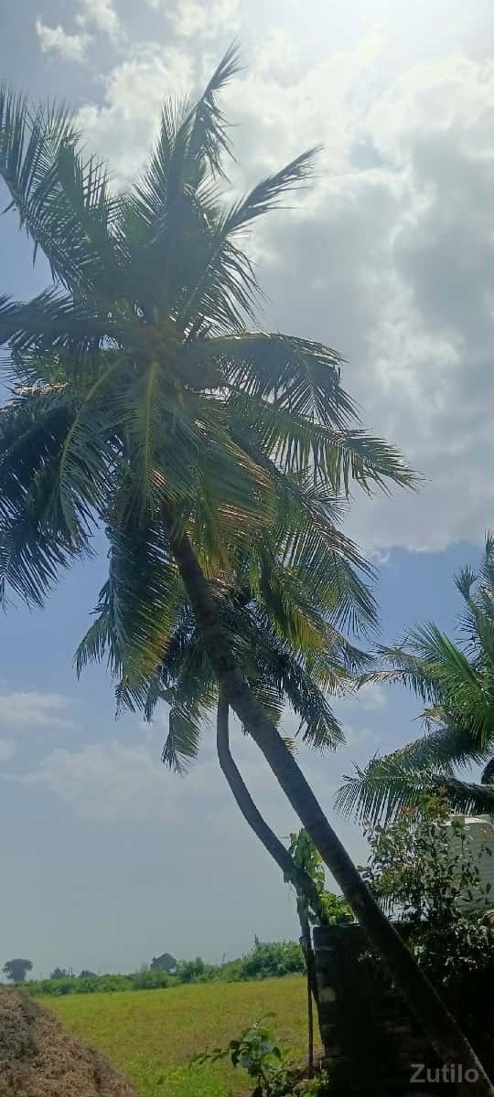 વાડી વેચવાની છે વાડી વેચવાની છે