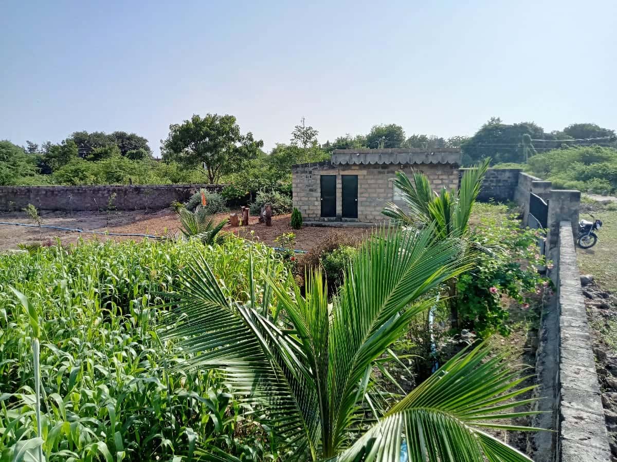 ૧૨ વિઘા રોડ ટચ જમીન વેચવાની છે. ૧૨ વિઘા રોડ ટચ જમીન વેચવાની છે.