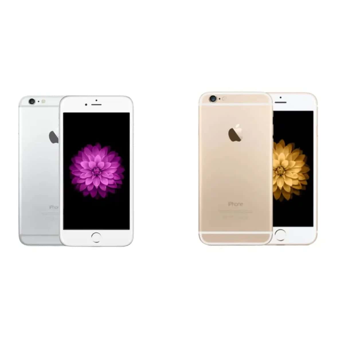 9081123354 9081123354