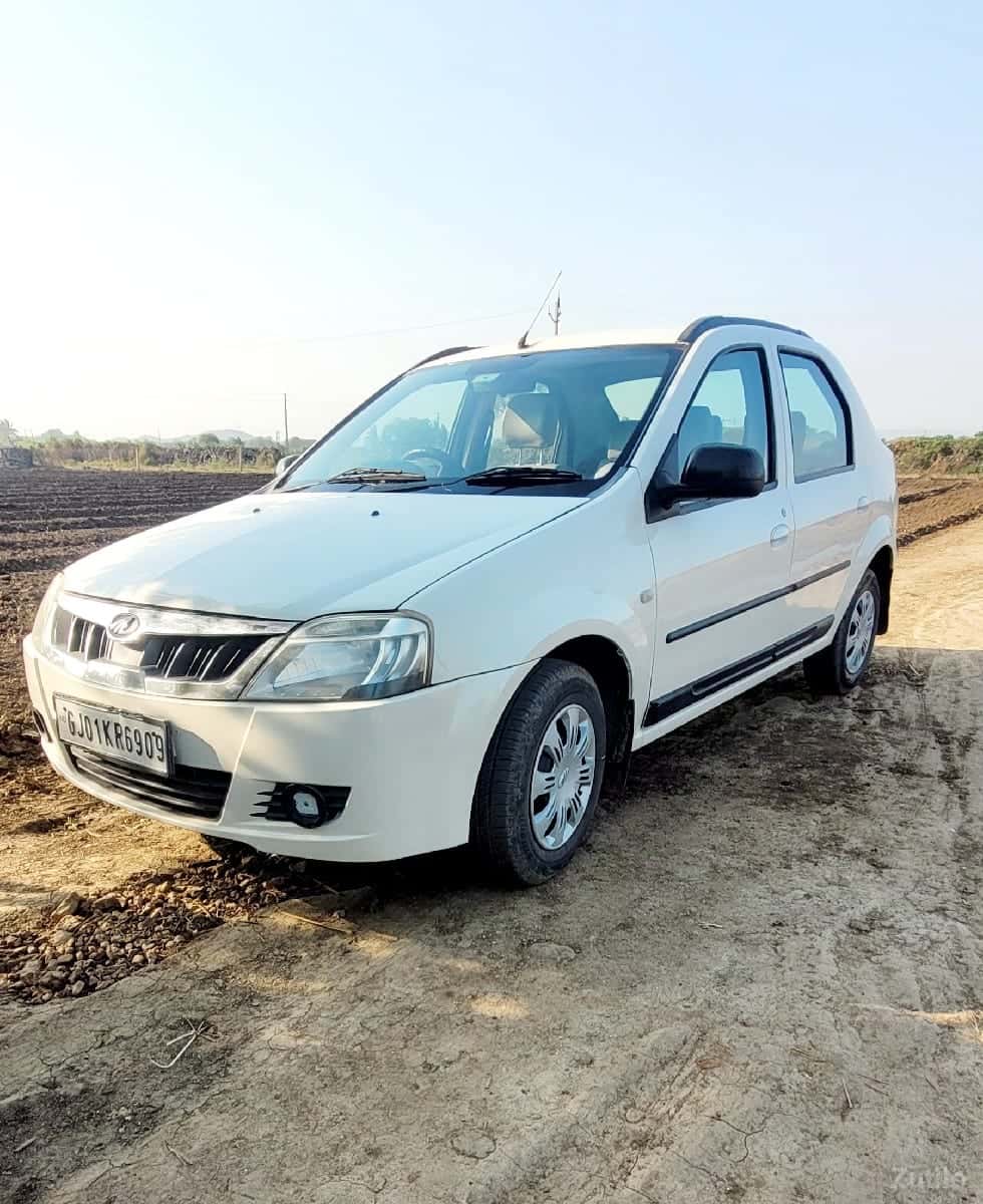 Verito Alto Figo Verito Alto Figo