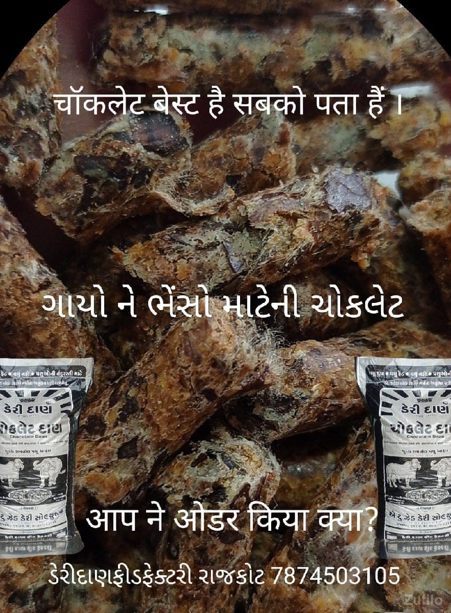 ગાયો ને ભેંસો માટેની ચોકલેટ