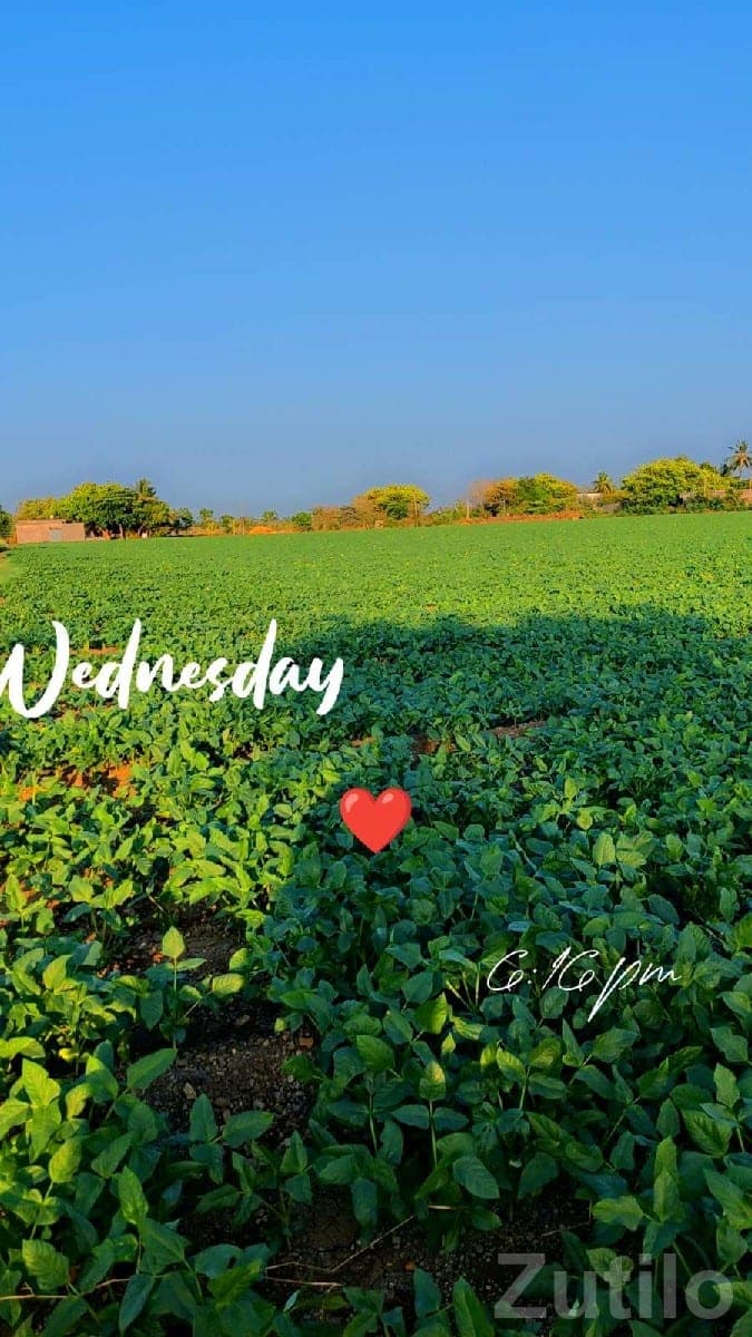 Fertile Green Agricultural Land Plot