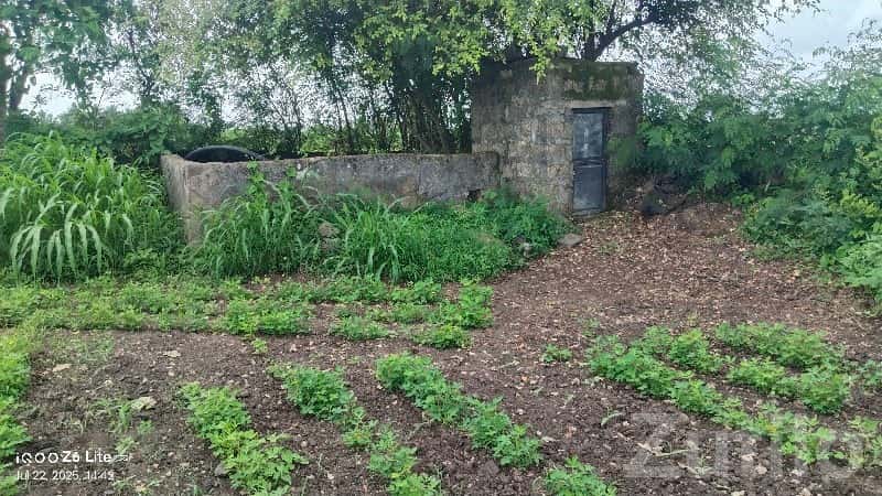 Green Agricultural Land with Well, Sutrapada Green Agricultural Land with Well, Sutrapada