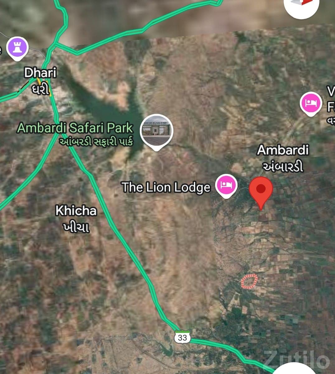 17 Vigha Orchard Land Near Dhari