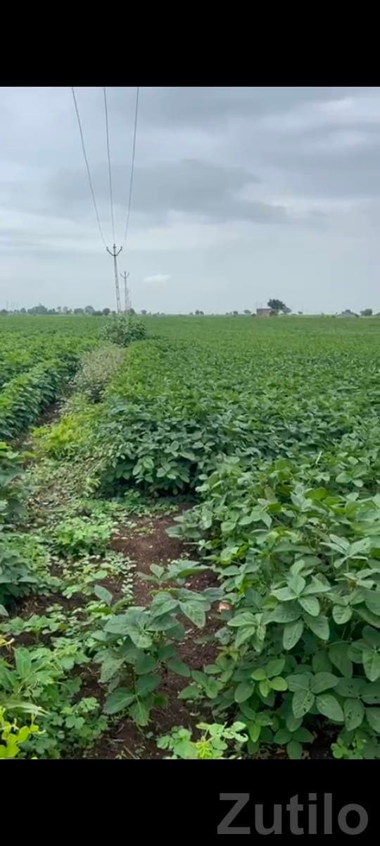 Fertile Agricultural Land in Lathi