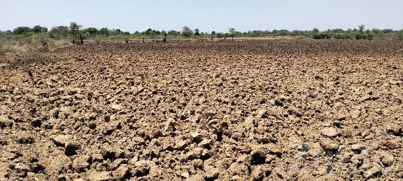 Santalpur Fertile Agricultural Land Sale