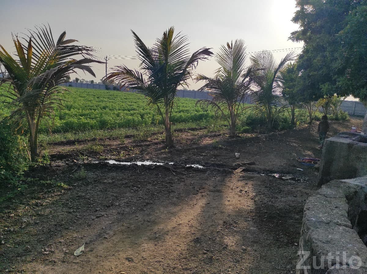 Fertile Agriculture Land for Sale, Upleta