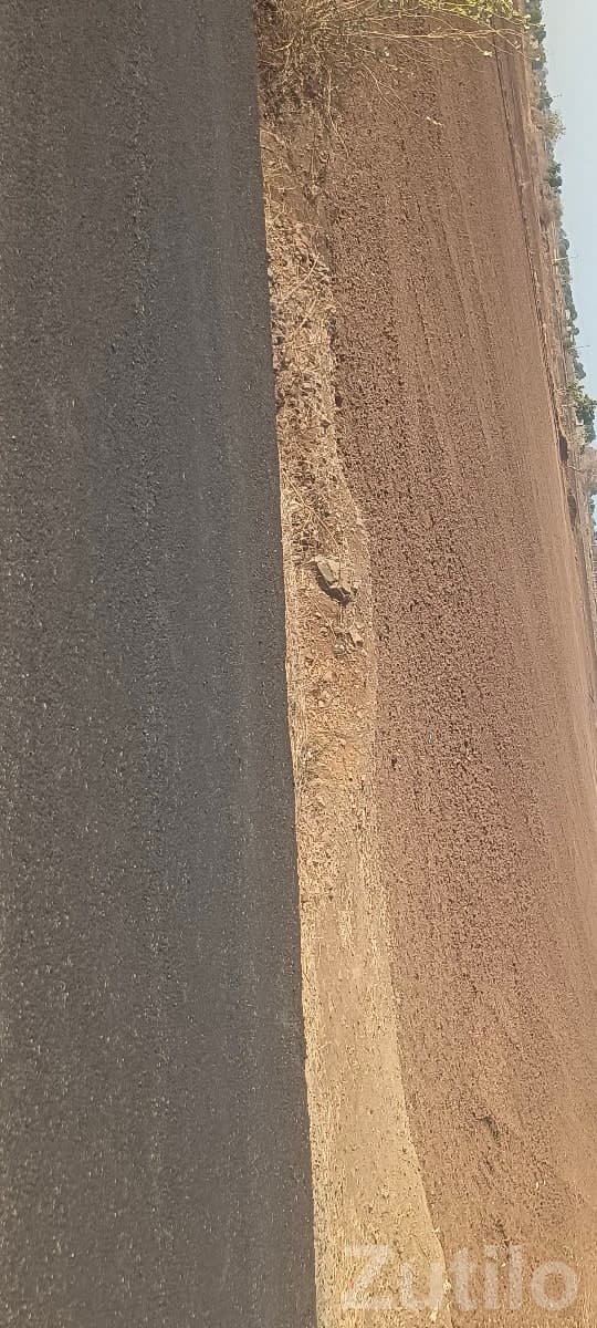 7.5 Bigha Road Touch Farm Land, Visavadar - જમીન અને પ્લોટ - વિસાવદર - Image 1