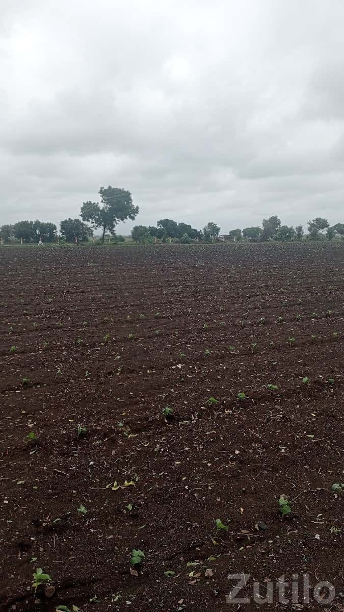 Fertile Agricultural Land for Sale Rajkot Fertile Agricultural Land for Sale Rajkot
