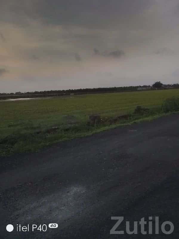 Road Touch Green Land Plot Ranavav Road Touch Green Land Plot Ranavav