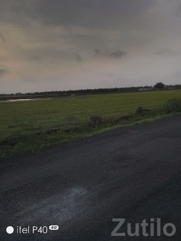 Road Touch Green Land Plot Ranavav