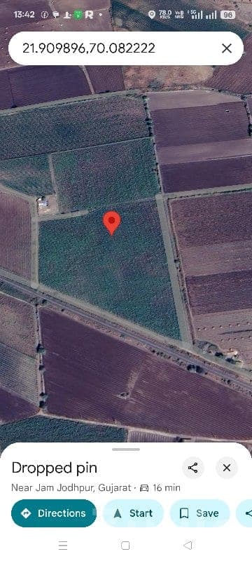 Fertile Agricultural Land Jamjodhpur - Land & Plots - Jamjodhpur - Image 1