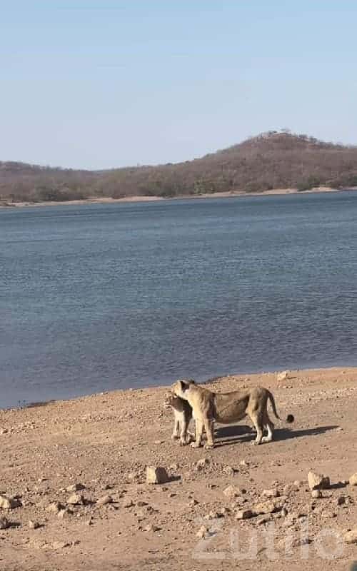 Scenic Lakeview Agriculture Land Plot Scenic Lakeview Agriculture Land Plot