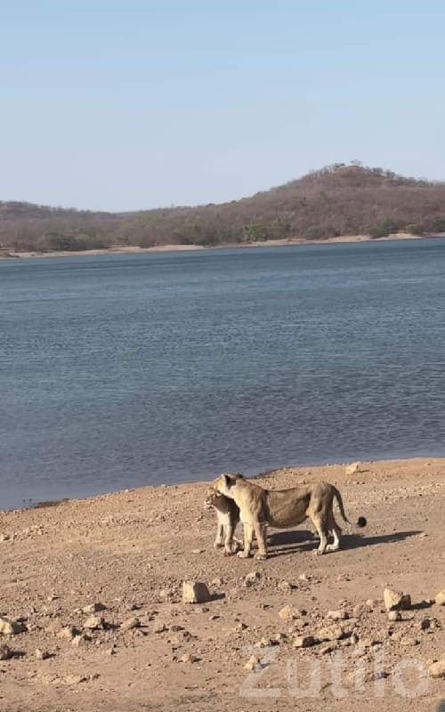 Scenic Lakeview Agriculture Land Plot - Land & Plots - Mendarda - Image 1