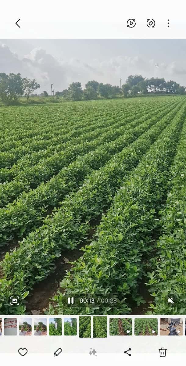 Highway Touch Fertile Farm Land Plot Highway Touch Fertile Farm Land Plot