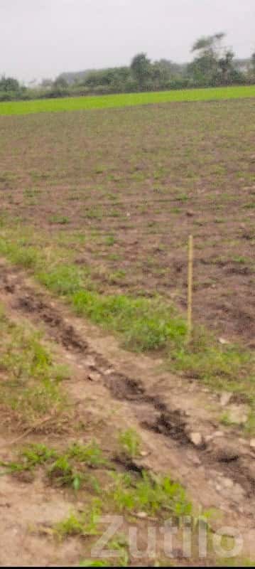 5 Vigha Fertile Agricultural Land, Prasli 5 Vigha Fertile Agricultural Land, Prasli