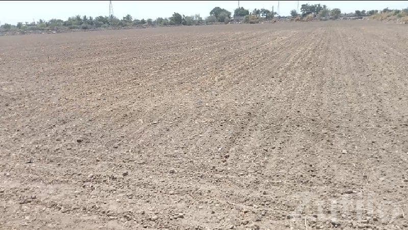 Fertile Agricultural Land in Porbandar