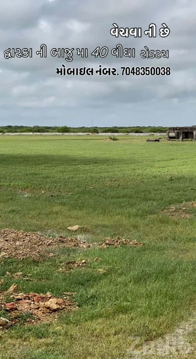 40 Vigha Road Touch Plot in Salaya 40 Vigha Road Touch Plot in Salaya