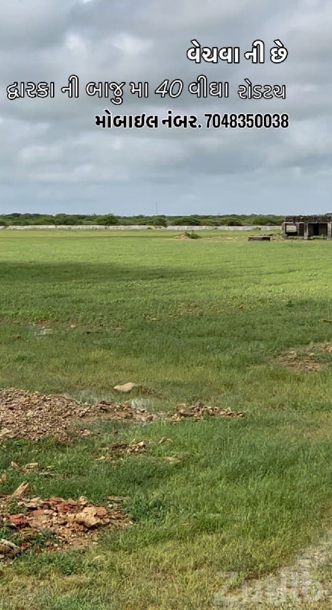 40 Vigha Road Touch Plot in Salaya