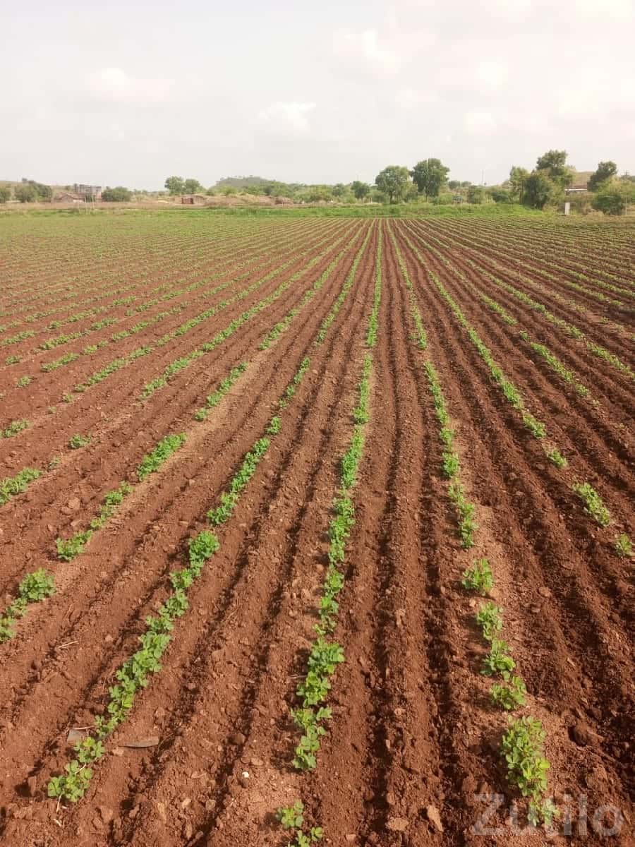 Fertile Agricultural Land Plot for Sale Fertile Agricultural Land Plot for Sale