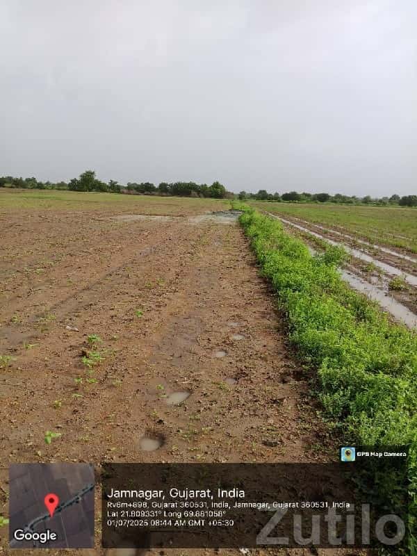 Fertile Agricultural Land Jamjodhpur Fertile Agricultural Land Jamjodhpur