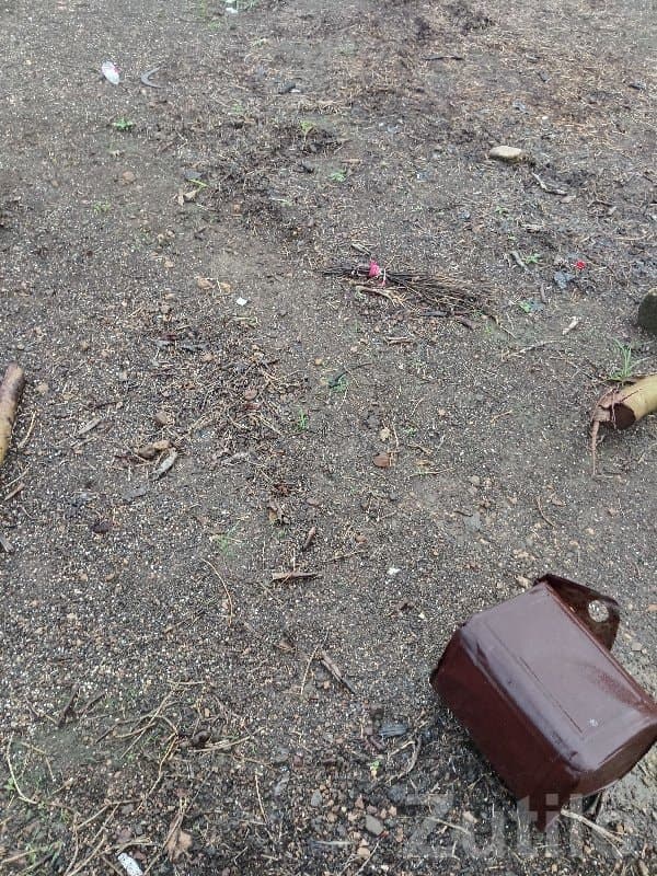 4 Bigha Open Land for Sale Jamjodhpur - Land & Plots - Jamjodhpur - Image 1