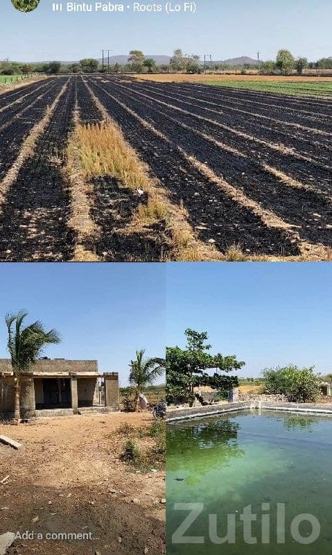 14 Vigha Farm Land with House & Pond