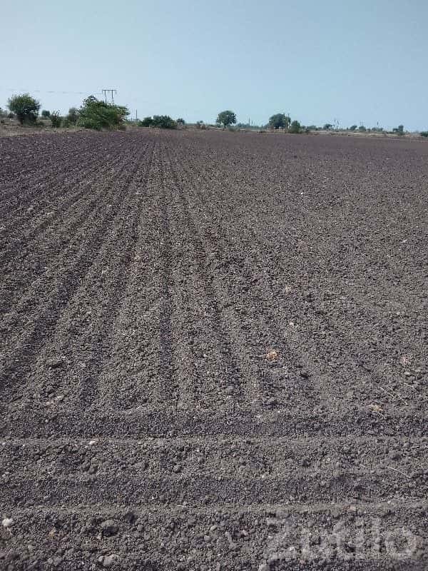 Fertile Agricultural Land Plot for Sale Fertile Agricultural Land Plot for Sale