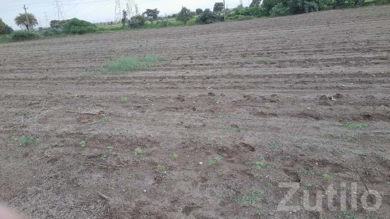 Jamjodhpur Bhanvad Agricultural Land Jamjodhpur Bhanvad Agricultural Land