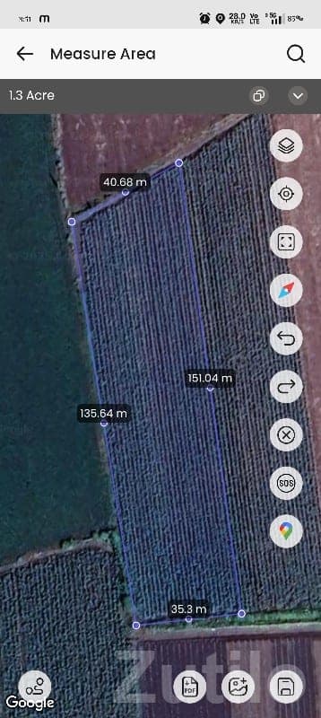 1.3 Acre Agricultural Land in Gondal