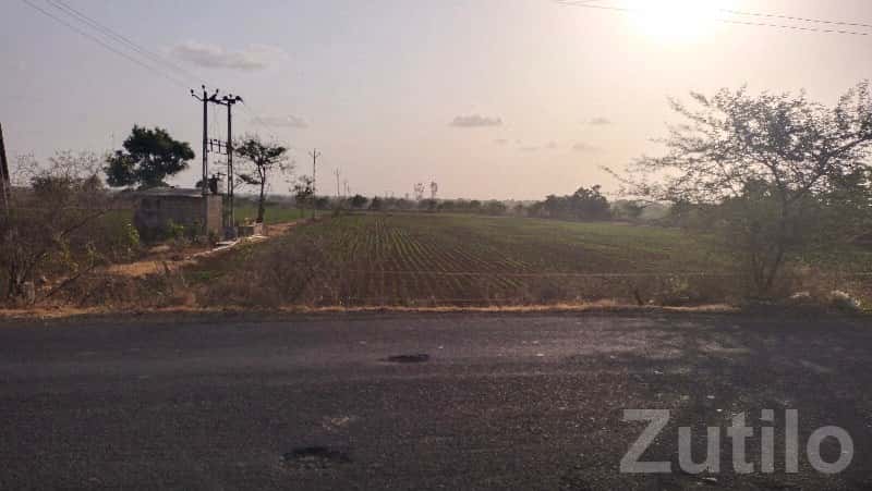 10 Vigha Road Touch Farmland Talala 10 Vigha Road Touch Farmland Talala